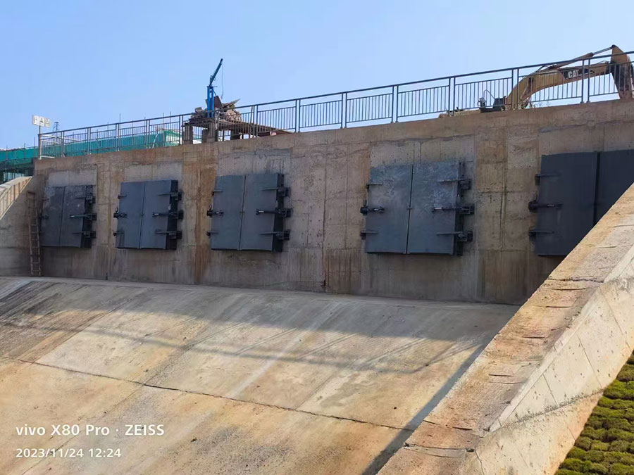 雙開拍門工程案例